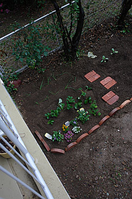 DSC00340.jpg